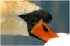 photo11_small.jpg