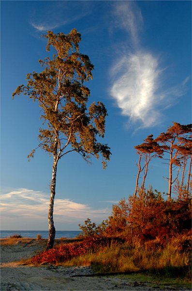 photo18.jpg