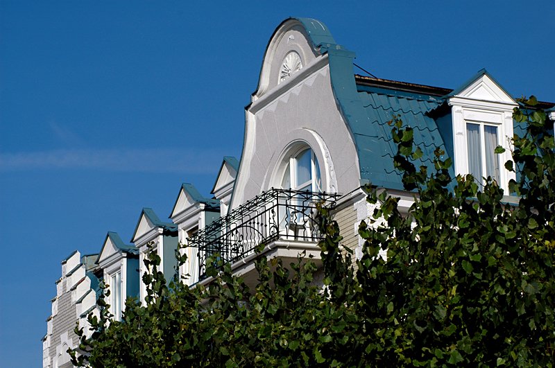 photo26.jpg