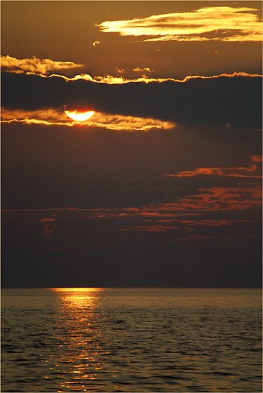 photo8.jpg